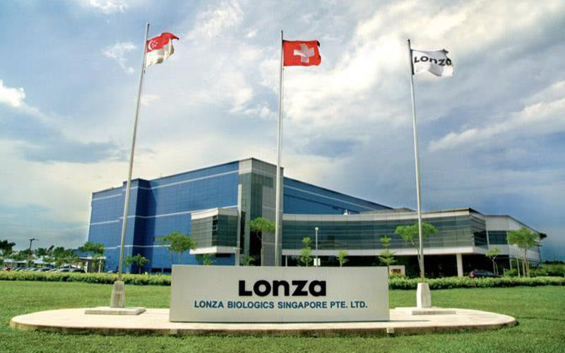 lonza