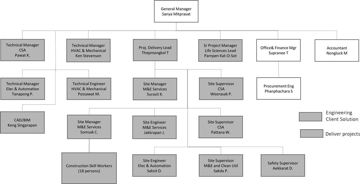 company structure graphic
